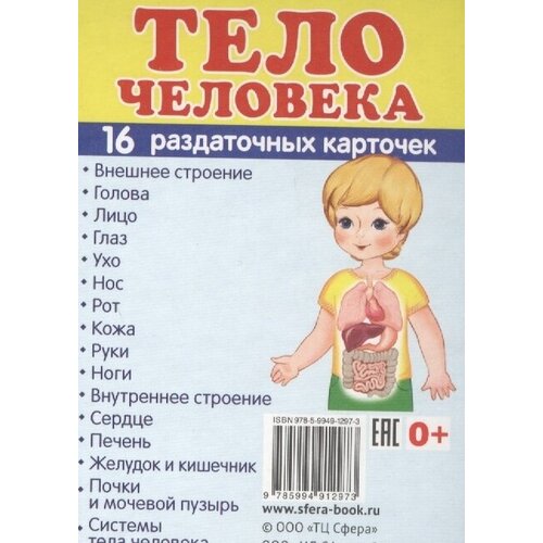 Тело человека. 16 раздаточных карточек с текстом