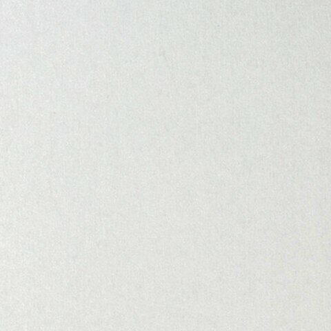 Картон белый большого формата, А2 мелованный (глянцевый), 10 листов, в папке, BRAUBERG, 400х590 мм, 124764