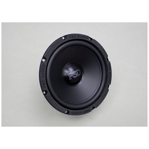 Автомобильный сабвуфер FSD Master WF 8 632000₽
