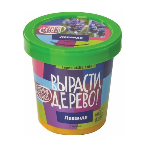 Набор для выращивания растений Вырасти дерево! 