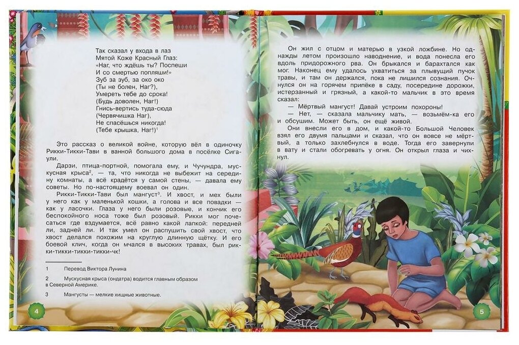 "УМКА". РИККИ-ТИВВИ-ТАВИ. Р. КИПЛИНГ (СЕРИЯ: ДЕТСКАЯ БИБЛИОТЕКА) ТВЕРДЫЙ ПЕРЕПЛЕТ в кор.30шт - фото №3