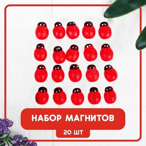Набор магнитов Божья коровка 20 шт красный 312₽
