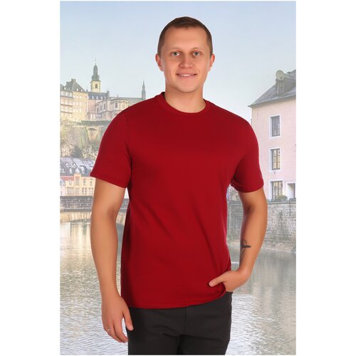 фото Футболка мужская фм31б (52) toontex