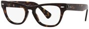 Оправы Ray-Ban RB 2201V 2012 54