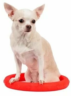 Pet Hobby Игрушка для собак Кольцо плавающее большое 24,5 см - фотография № 2