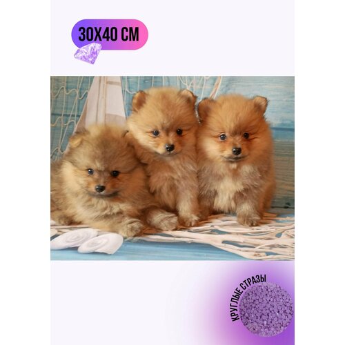 Алмазная мозаика стразами 