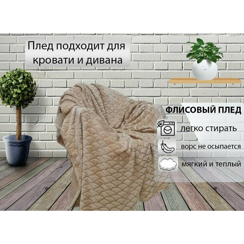 Плед Union Home мягкий пушистый, велсофт /Покрывало на кровать и диван 200*220/Подарок мужчине, женщине/бежевый