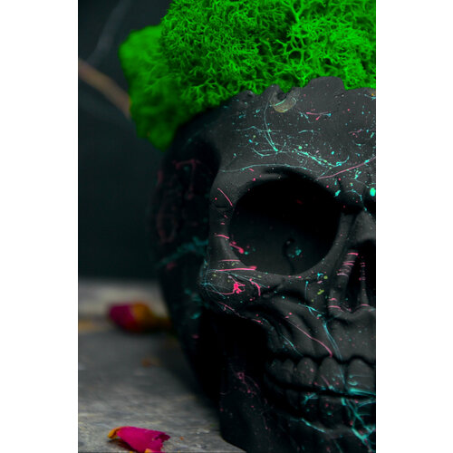 Кашпо череп из гипса горшок со мхом