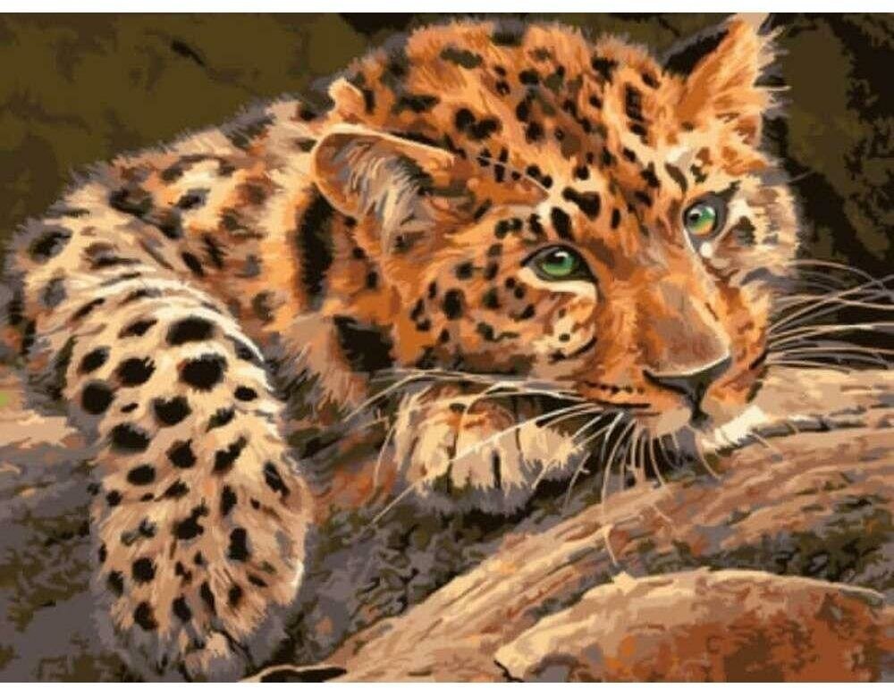 Картина по номерам «Леопард», EX5807, 30х40
