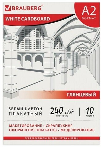 Картон белый большого формата, А2 мелованный (глянцевый), 10 листов, в папке, BRAUBERG, 400х590 мм, 124764