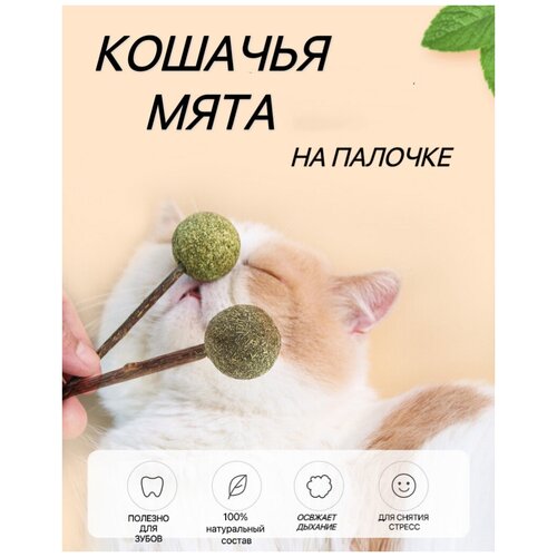 Игрушка для кошек из натуральной кошачьей мяты шарик/Мятный мячик/Шар из кошачьей мяты игрушка для кошек kong бобер плюш и кошачья мята