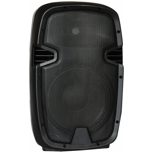 Активная акустическая система Xline NPS-10A 1852300₽