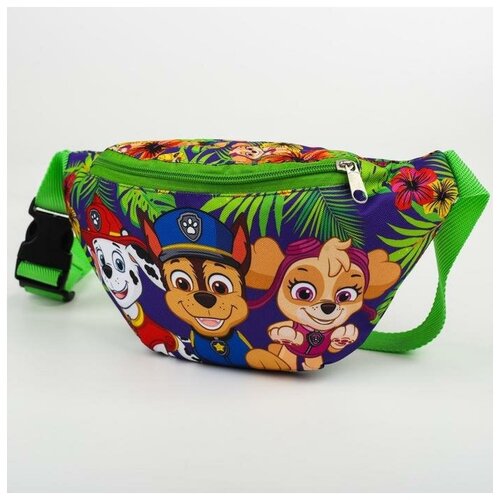 фото Сумка , зеленый paw patrol