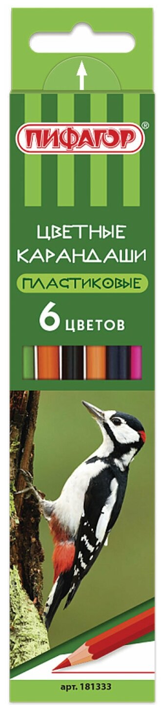 Карандаши цветные пифагор "лесные жители", 6 цветов, пластиковые, классические заточенные, 181333