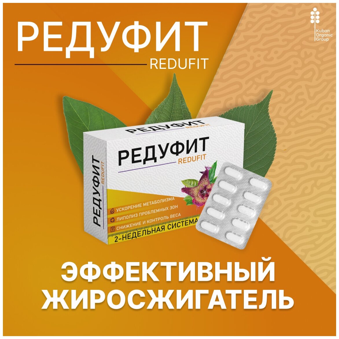 Жиросжигатель Редуфит, таблетки для похудения, для снижения веса. Для мужчин и женщин, капсулы