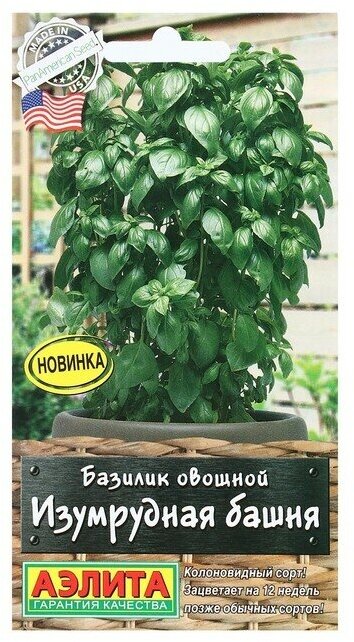 Агрофирма аэлита Семена Базилик овощной "Изумрудная башня", 10 шт