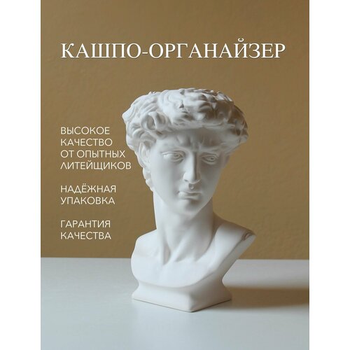 Голова Давида гипсовая кашпо-органайзер Высота-25 см.