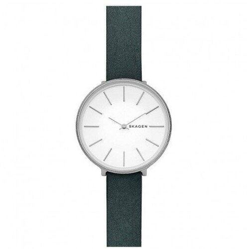 Наручные часы SKAGEN SKW2724, белый greller women