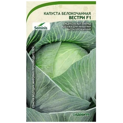 Семена Капуста Вестри белокочанная F1 10шт Садовита (3 пакета) семена капуста вестри белокочанная f1 10шт садовита 3 пакета