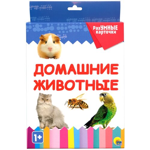фото Набор карточек проф-пресс разумные карточки. домашние животные 20 шт.