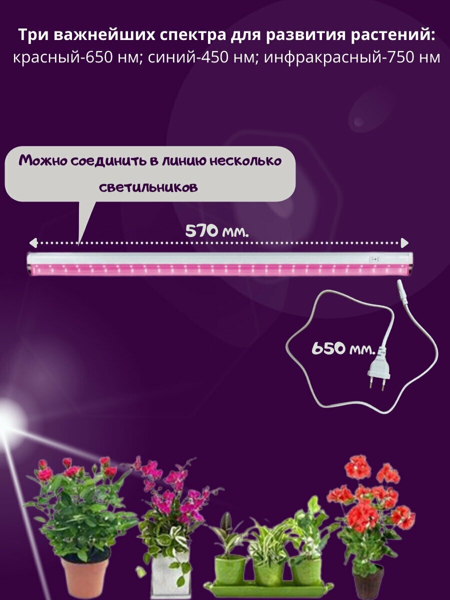Фитолампа для растений полного спектра / фито лампа для рассады, светодиодный фитосветильник 9 ВТ / фиолетовая лампа для выращивания цветов - фотография № 4