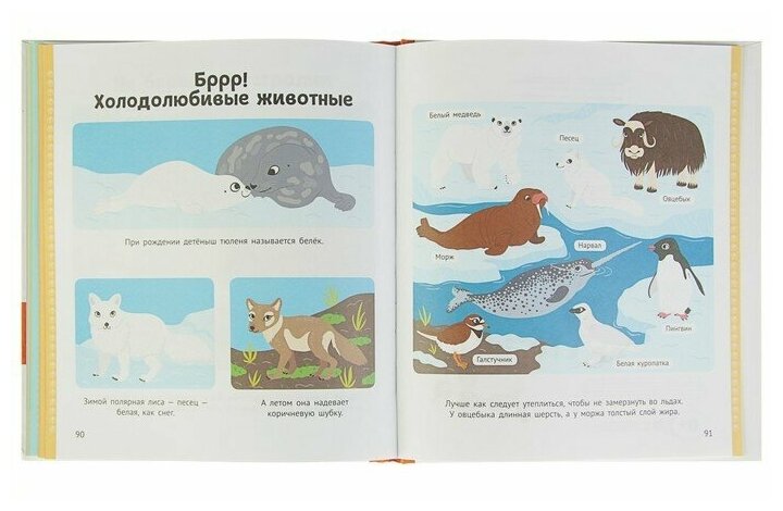Энциклопедия животных для малышей - фото №9