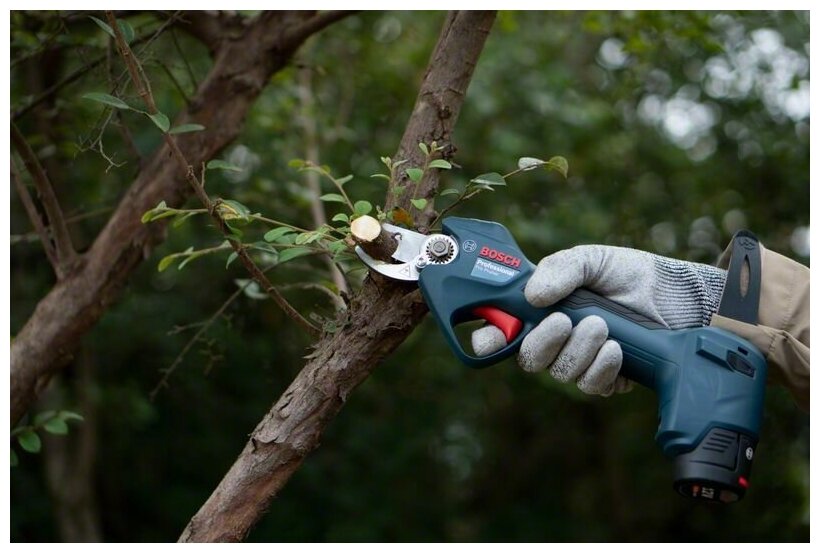 Секатор акк. Pro Pruner Bosch - фотография № 10