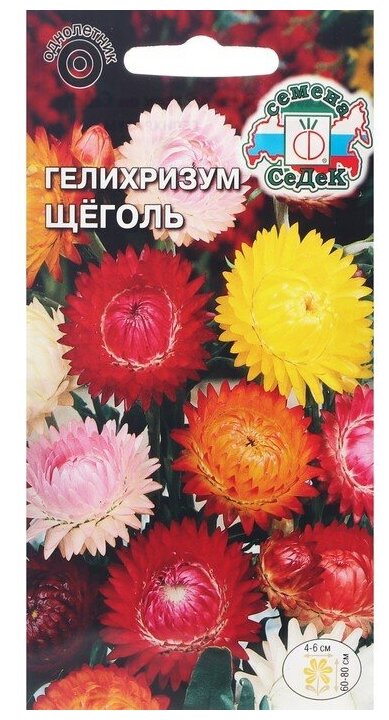 Семена цветов цветок Гелихризум Щёголь (прицветниковый смесь цветов) . Евро 02 г