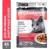 корм для кошек ProBalance Active консервированный (пауч) (кусочки в соусе) - изображение