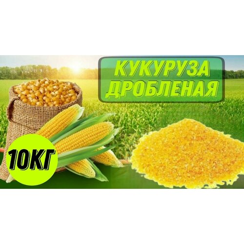 Кукуруза, семечко, жмых, зерносмесь