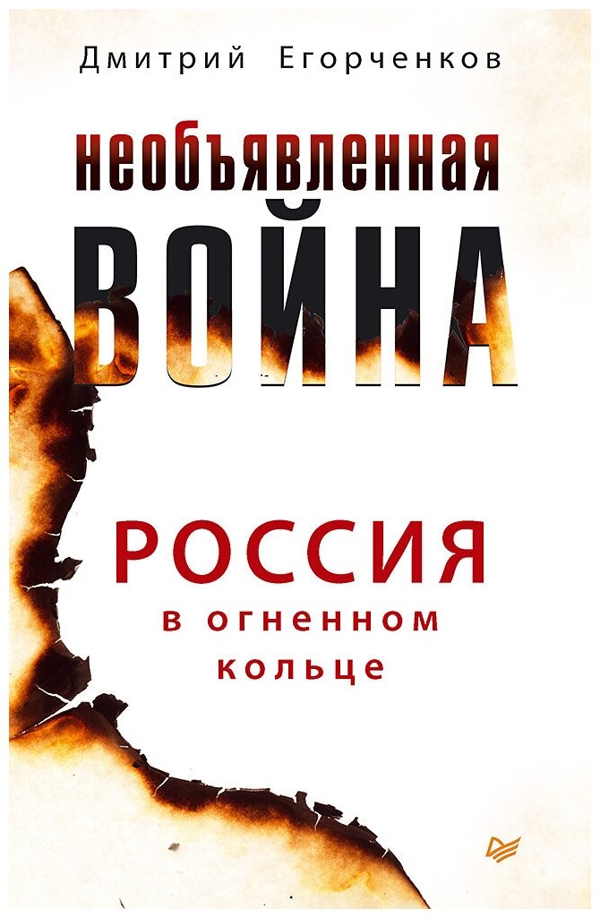 Необъявленная война. Россия в огненном кольце - фото №1