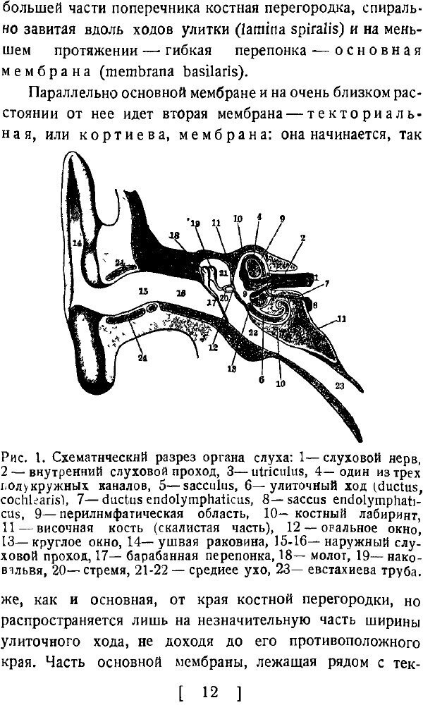 Книга Слух и речь в свете современных физических исследований - фото №10