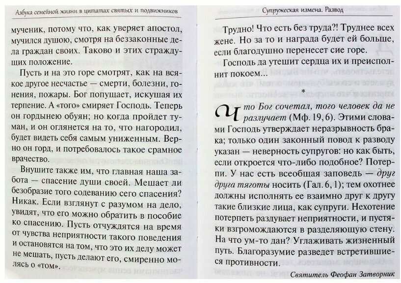 Да любите друг друга. Церковь о любви, ревности, воспитании детей и равноправии в семейной жизни - фото №7