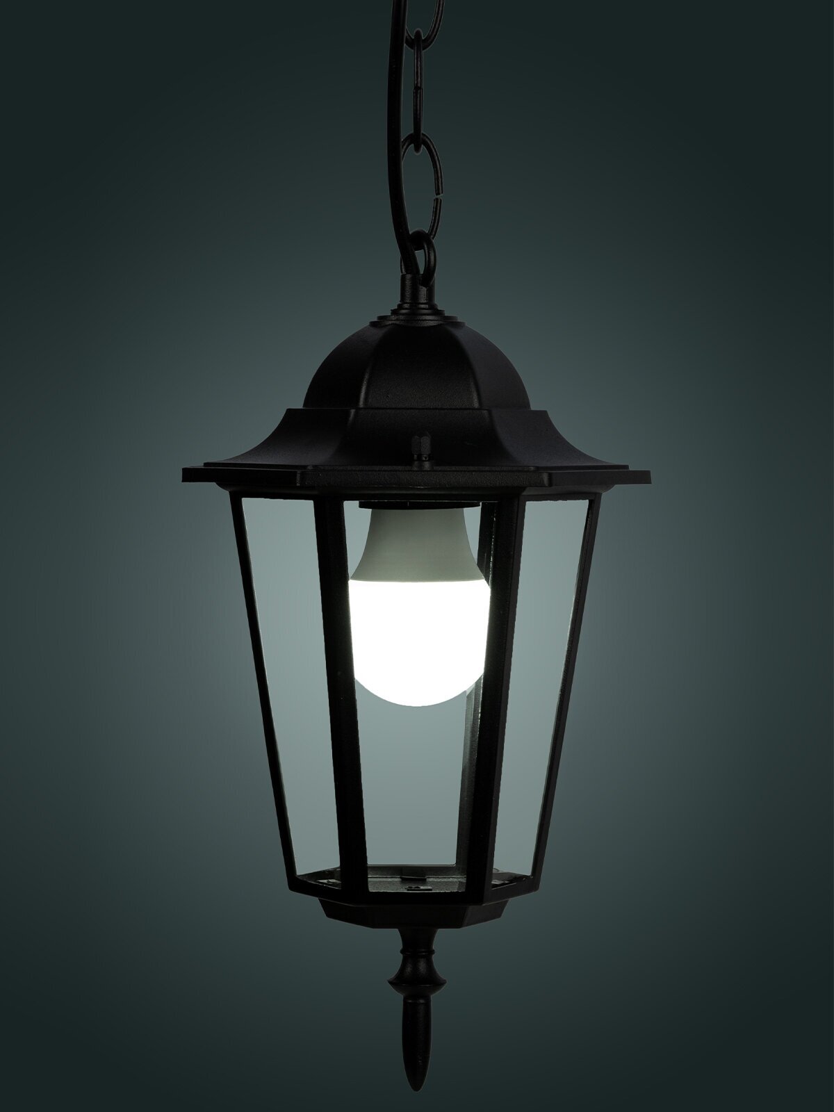 TDM ELECTRIC Светильник садово-парковый SQ0330-0005, E27, 60 Вт, цвет арматуры: черный, цвет плафона бесцветный - фотография № 7