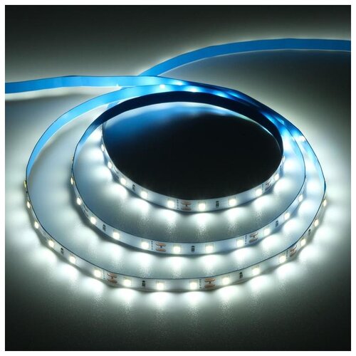 фото Светодиодная лента на катушке ecola led strip pro, 8 мм, 12 в, 6000 к, 11 вт/м, ip20, 5 м 5501902