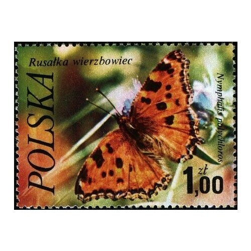 (1977-035) Марка Польша Многоцветница Бабочки II Θ