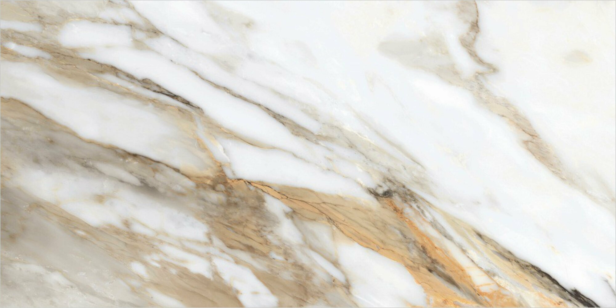 фото Керамогранит Global Tile Borghini Белый Карвинг 60x120
