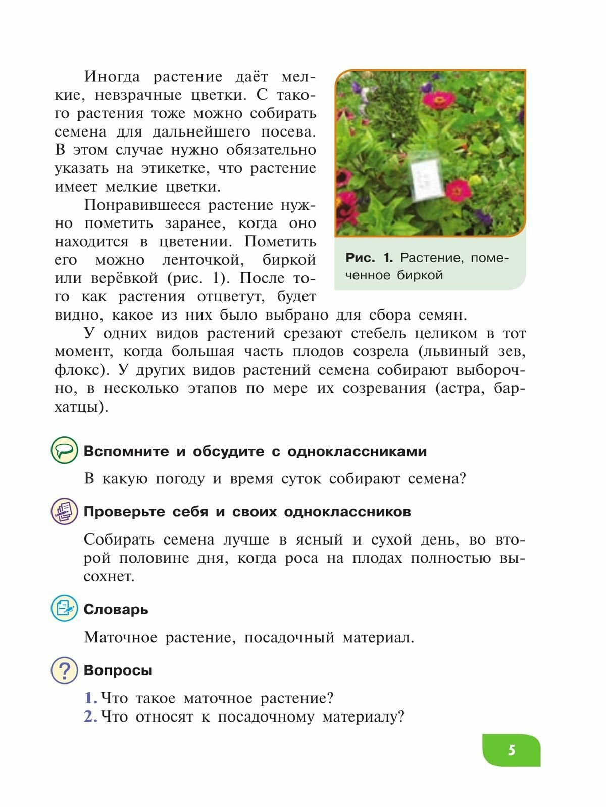 Технология. Цветоводство и декоративное садоводство. 8 класс. Учебник (для обучающихся с интеллектуальными нарушениями) - фото №9