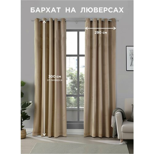фото Комплект штор всетканитут / бархат / на люверсах / бежевый / 580x300 см (2 шт х 290 см)