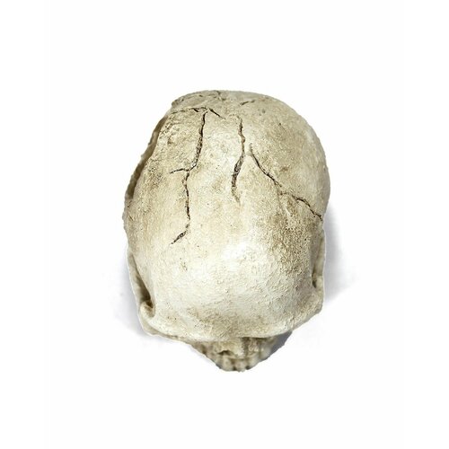 Декор для террариума 