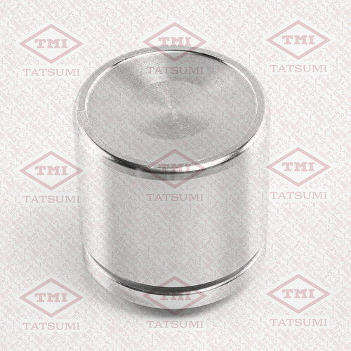 Поршень тормозного суппорта TMI TATSUMI TCG1310 1099₽
