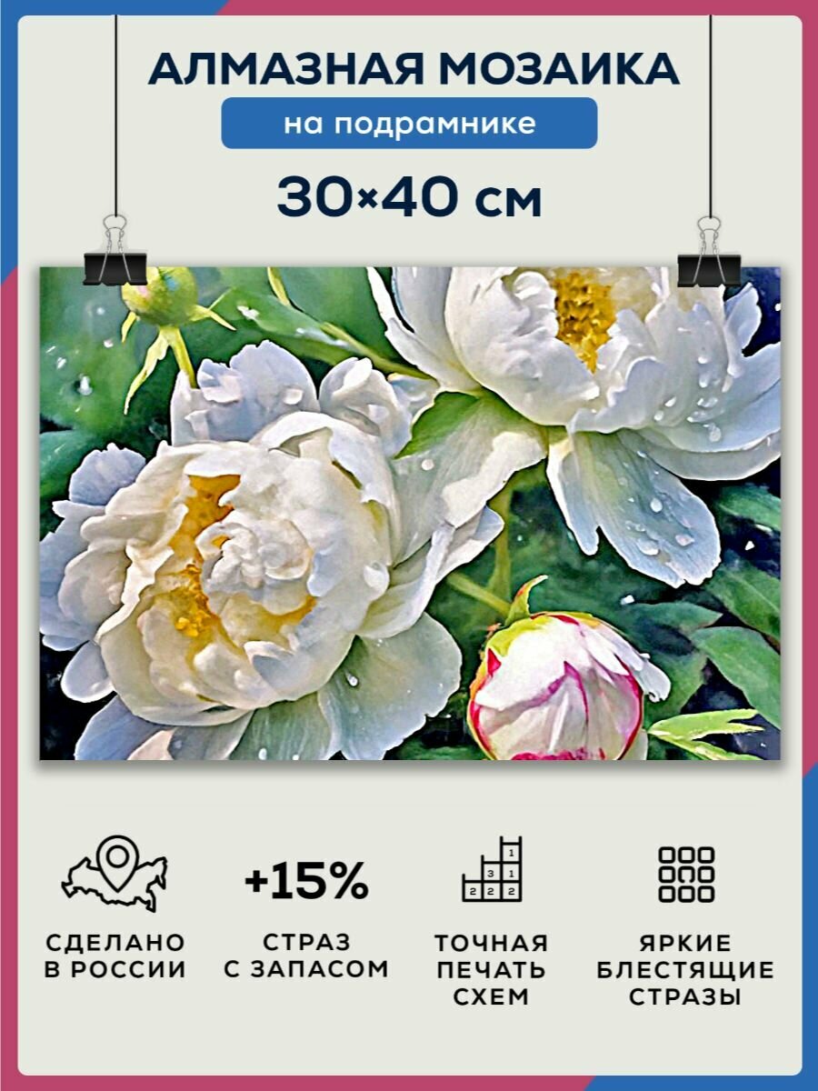 фото Алмазная мозаика 30x40 Белые пионы на подрамнике