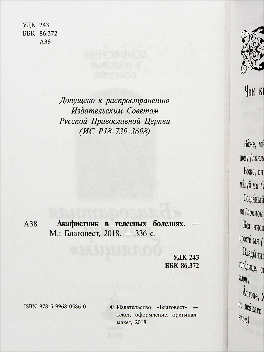 Акафистник в телесных болезнях "Благодатная помощь болящим" - фото №4