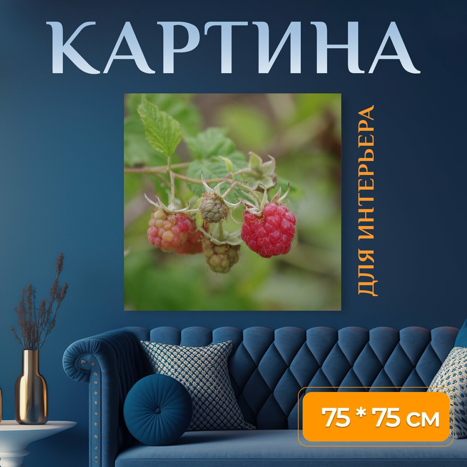 Картина на холсте "Малина, красный фрукт, летом" на подрамнике 75х75 см. для интерьера