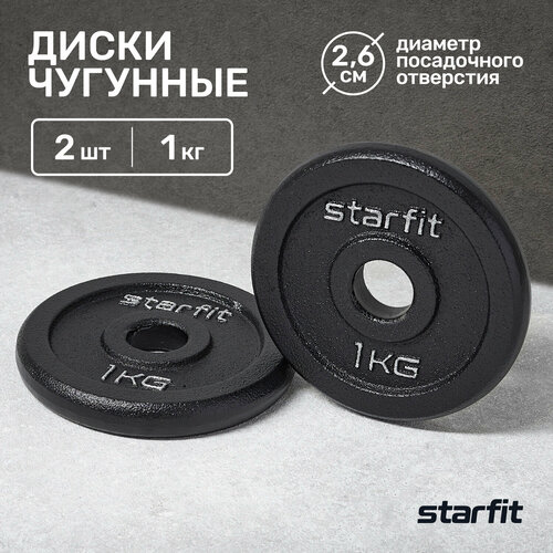 Диск чугунный STARFIT BB-204 1 кг, d=26 мм, черный, 2 шт. диск чугунный starfit bb 204 1 кг d 26 мм черный 2 шт