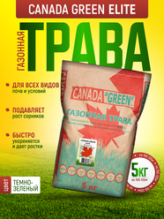 Газонная трава семена Канада Грин Элитная 5 кг / Канада Грин Элит 5кг / семена газона райграс, мятлик, овсяница