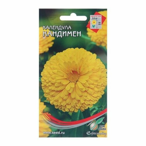 Семена цветов Календула Кандимен, 35 шт ( 1 упаковка )