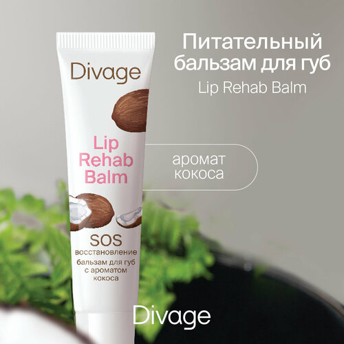 DIVAGE Бальзам для губ Divage Lip Rehab Balm с ароматом кокоса, бесцветный