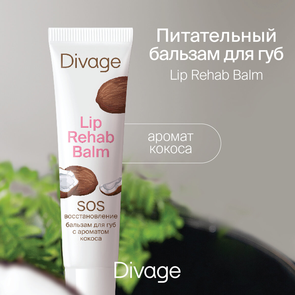 Divage Бальзам для губ Lip Rehab Balm с ароматом кокоса