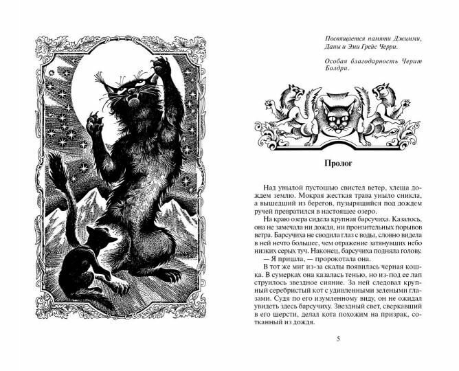 Книга Коты-воители. Длинные тени - фото №7